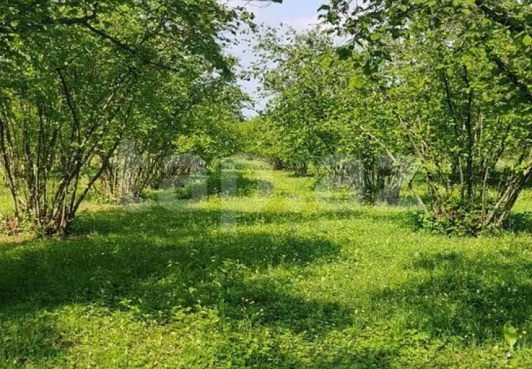 50 000 AZN - 0 m² Obyekt / Ofis , Qax