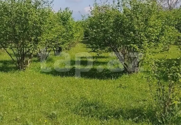 50 000 AZN - 0 m² Obyekt / Ofis , Qax