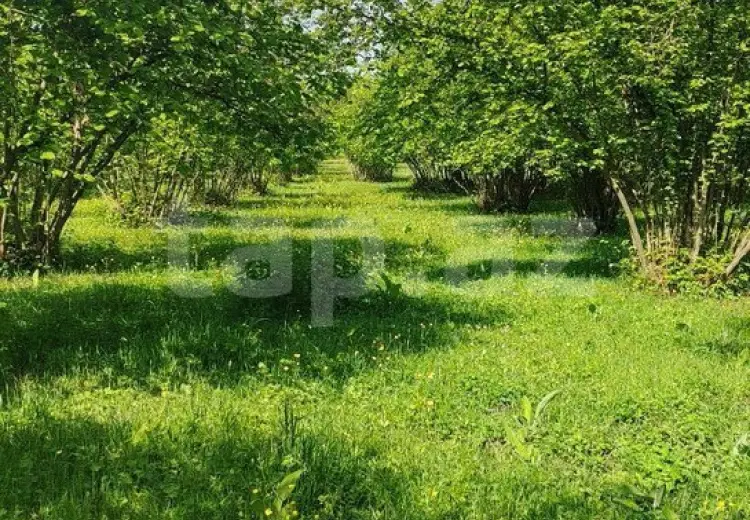 50 000 AZN - 0 m² Obyekt / Ofis , Qax