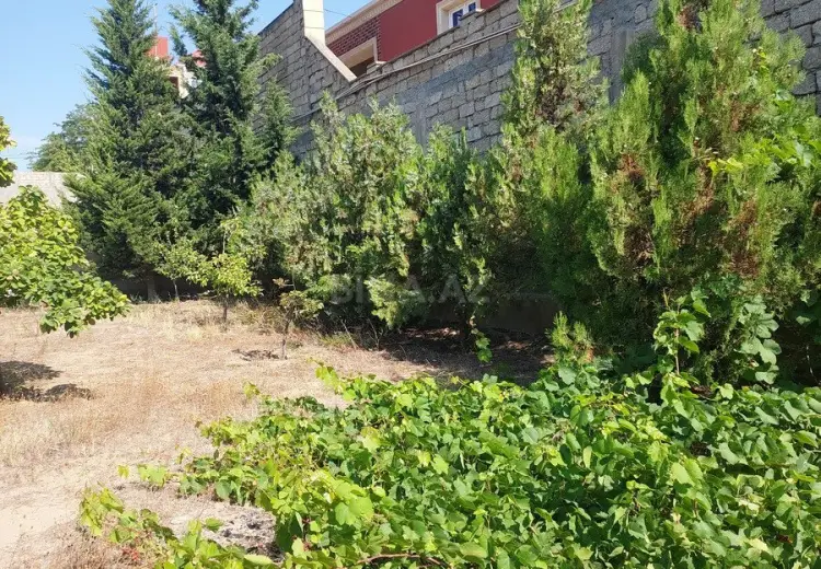 62 500 AZN - 5 sot Torpaq Satılır, Pirallahı, Bakı