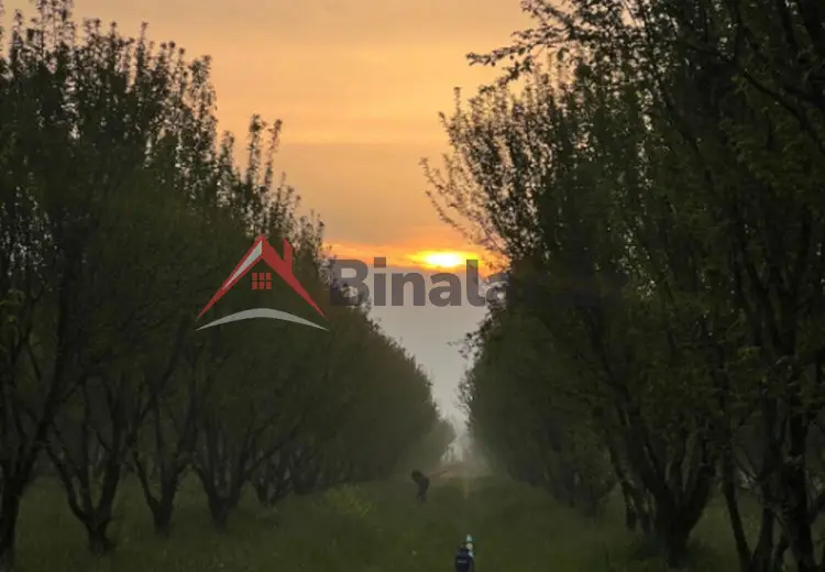110 000 AZN - 200 sot Torpaq Satılır, Göyçay
