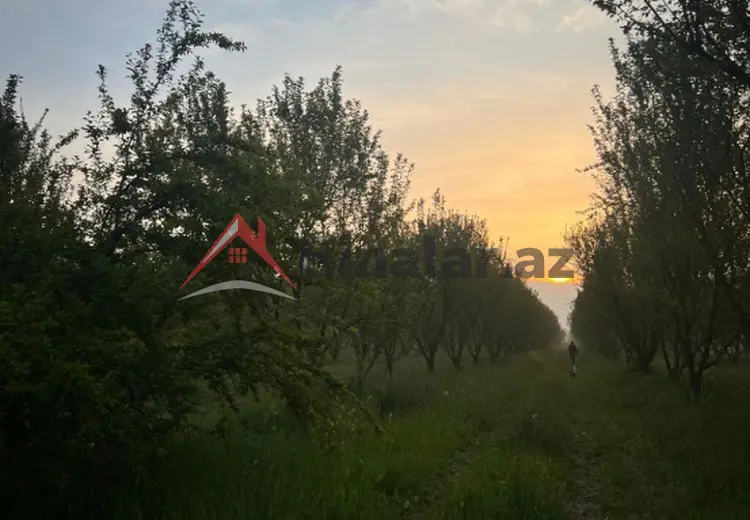 110 000 AZN - 200 sot Torpaq Satılır, Göyçay