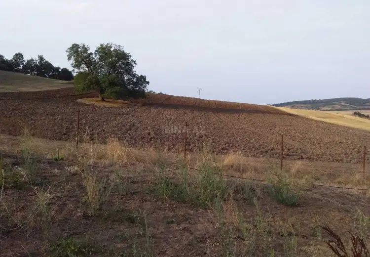 30 000 AZN - 153 sot Torpaq Satılır, Şabran