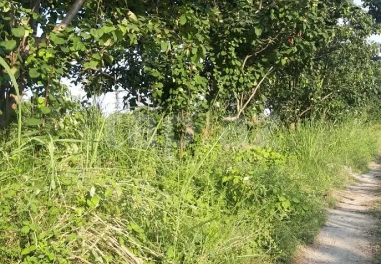 36 000 AZN - 0 m² Obyekt / Ofis , Göyçay