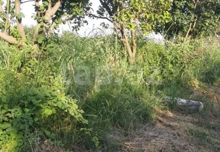 36 000 AZN - 0 m² Obyekt / Ofis , Göyçay