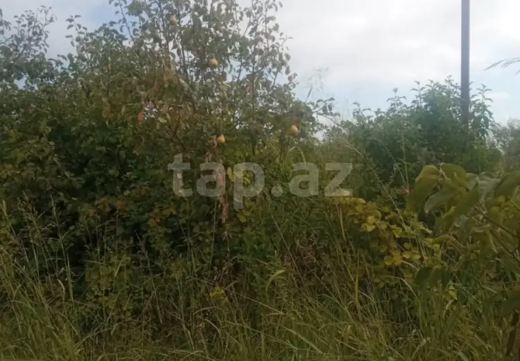 36 000 AZN - 0 m² Obyekt / Ofis , Göyçay