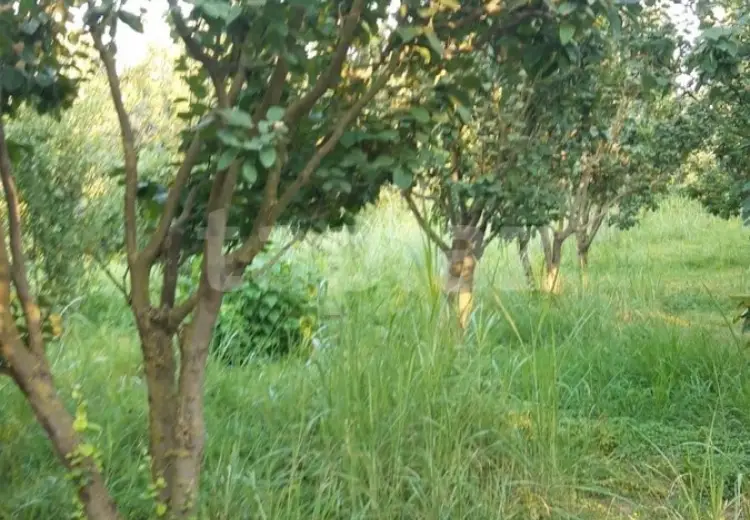 36 000 AZN - 0 m² Obyekt / Ofis , Göyçay