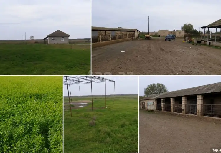 300 000 AZN - 8 otaqlı mənzil , Salyan