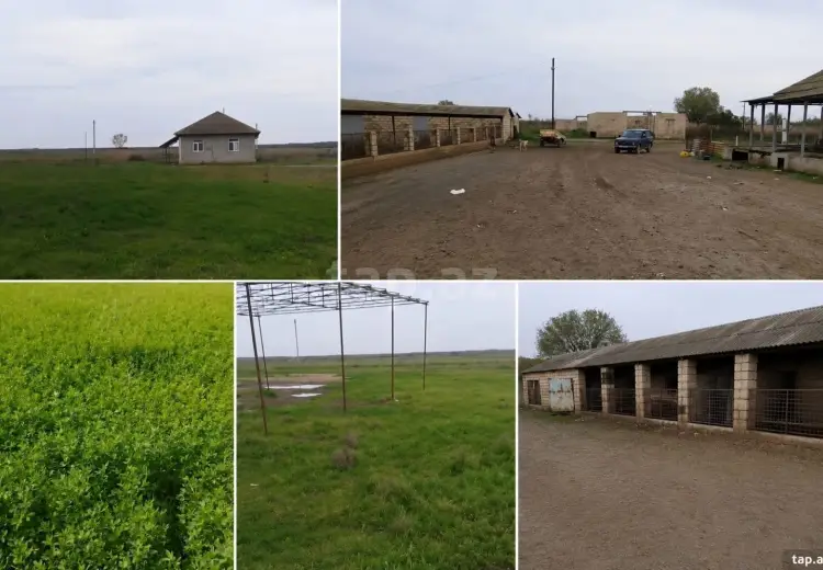 300 000 AZN - 8 otaqlı mənzil , Salyan