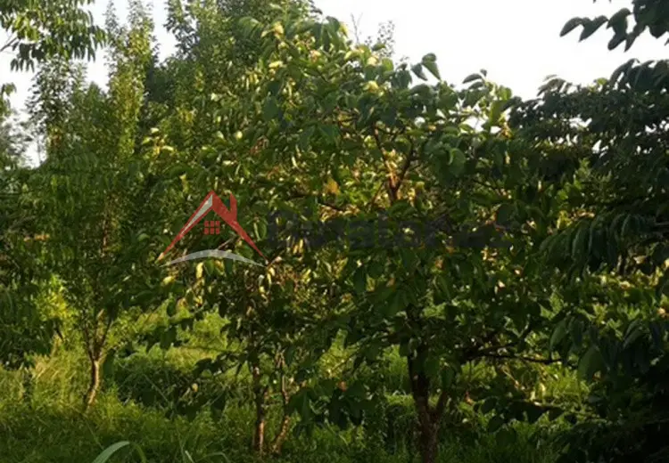 36 000 AZN - 300 sot Torpaq Satılır, Göyçay