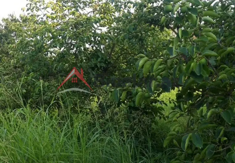 36 000 AZN - 300 sot Torpaq Satılır, Göyçay