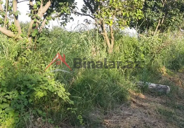 36 000 AZN - 300 sot Torpaq Satılır, Göyçay