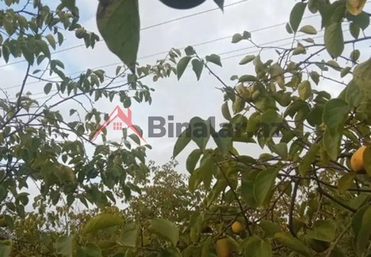 36 000 AZN - 300 sot Torpaq Satılır, Göyçay