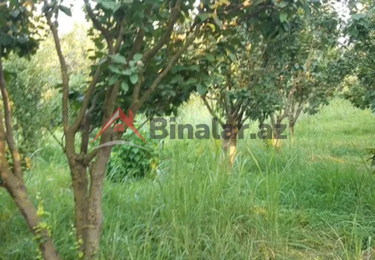 36 000 AZN - 300 sot Torpaq Satılır, Göyçay