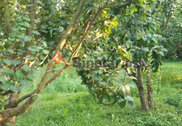 36 000 AZN - 300 sot Torpaq Satılır, Göyçay