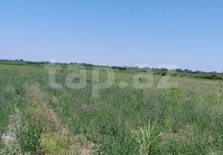 20 000 AZN - 0 m² Obyekt / Ofis , Ağdaş
