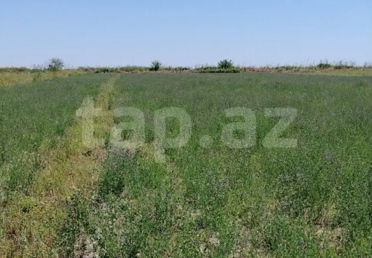 20 000 AZN - 0 m² Obyekt / Ofis , Ağdaş