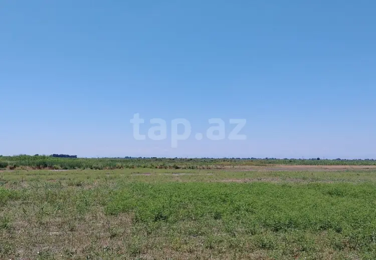 20 000 AZN - 0 m² Obyekt / Ofis , Ağdaş