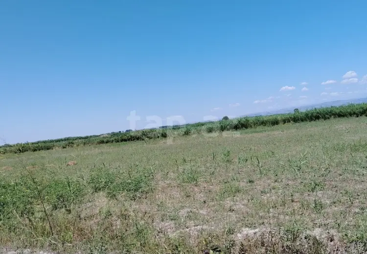 20 000 AZN - 0 m² Obyekt / Ofis , Ağdaş