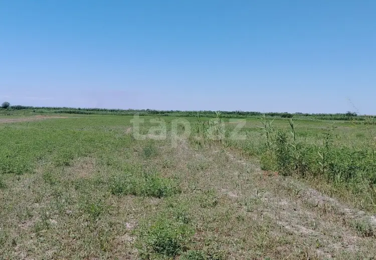 20 000 AZN - 0 m² Obyekt / Ofis , Ağdaş