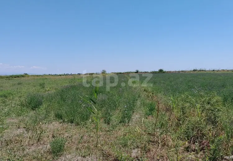 20 000 AZN - 0 m² Obyekt / Ofis , Ağdaş