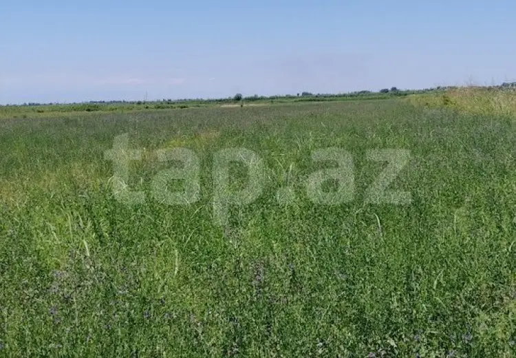 20 000 AZN - 0 m² Obyekt / Ofis , Ağdaş