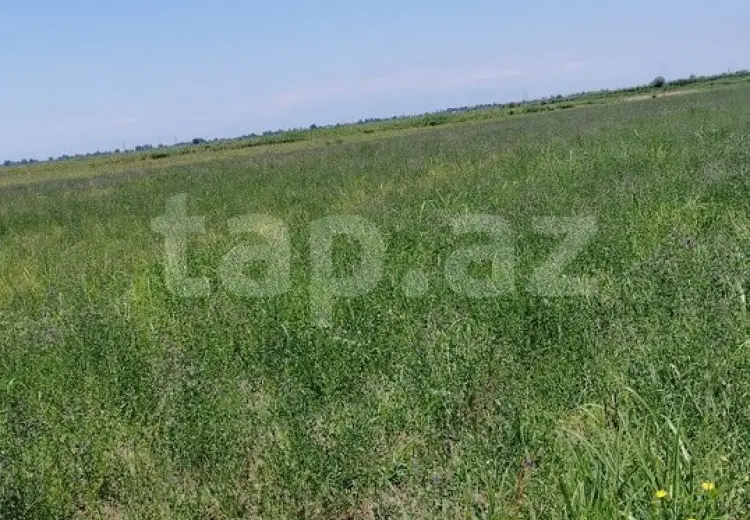 20 000 AZN - 0 m² Obyekt / Ofis , Ağdaş