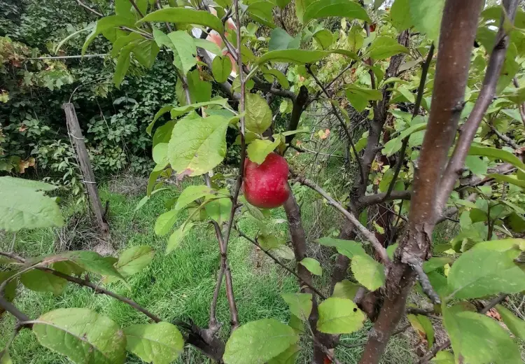 140 000 AZN - 3 otaqlı mənzil Satılır, Xızı