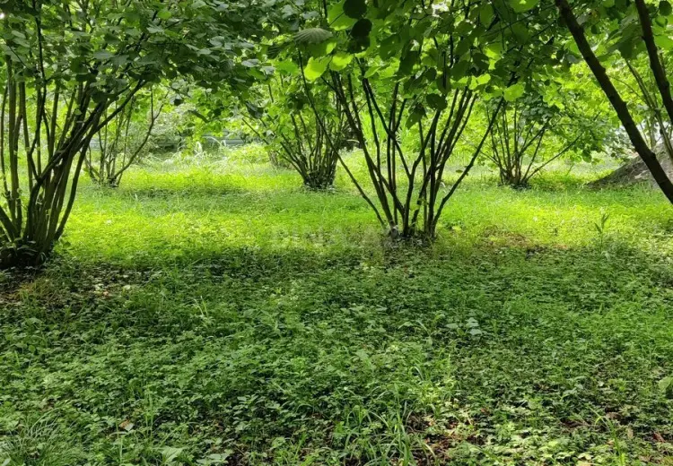 36 000 AZN - 2 otaqlı mənzil Satılır, Qax