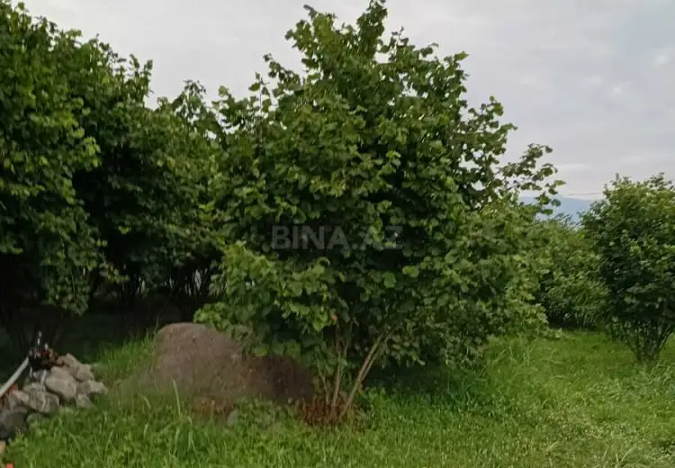 36 000 AZN - 2 otaqlı mənzil Satılır, Qax