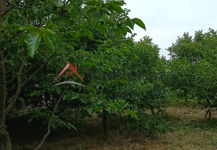 75 000 AZN - 5 otaqlı mənzil Satılır, Göyçay
