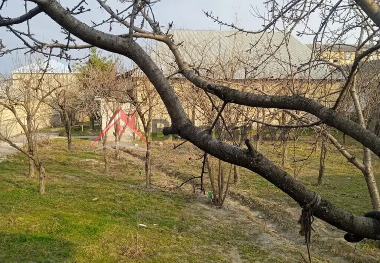 46 000 AZN - 10 sot Torpaq Satılır, Göyçay