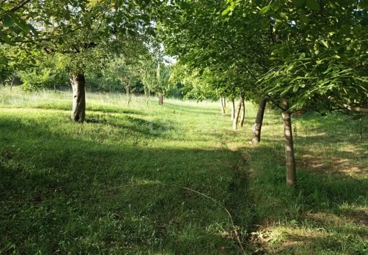 25 500 AZN - 0 m² Obyekt / Ofis , İsmayıllı