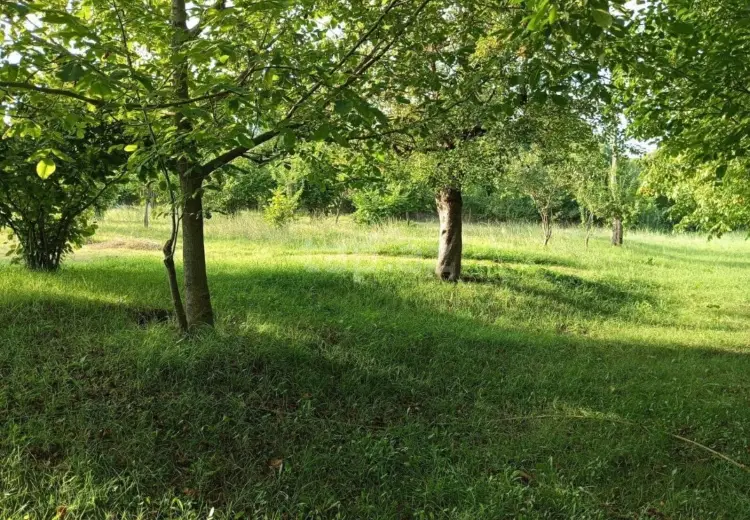 25 500 AZN - 0 m² Obyekt / Ofis , İsmayıllı