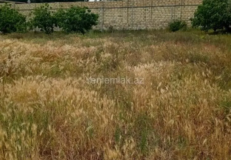 432 000 AZN - 24 sot Torpaq Satılır, Novxanı, Abşeron