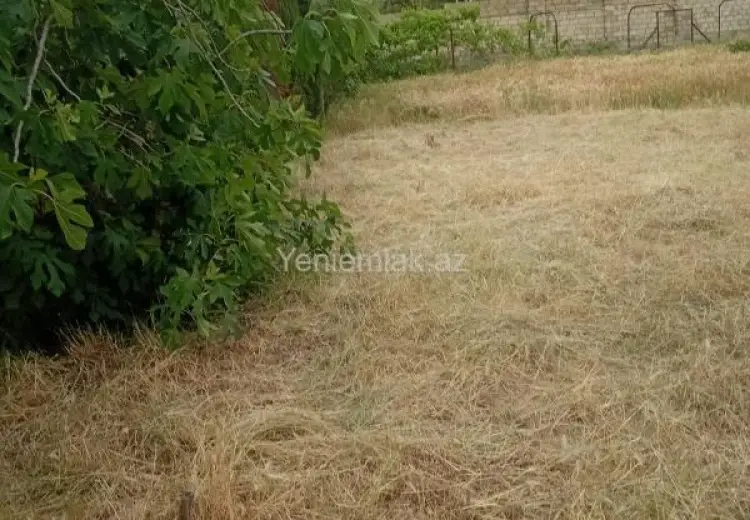 432 000 AZN - 24 sot Torpaq Satılır, Novxanı, Abşeron