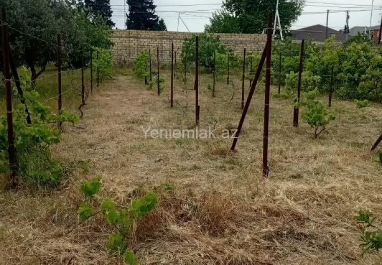 432 000 AZN - 24 sot Torpaq Satılır, Novxanı, Abşeron