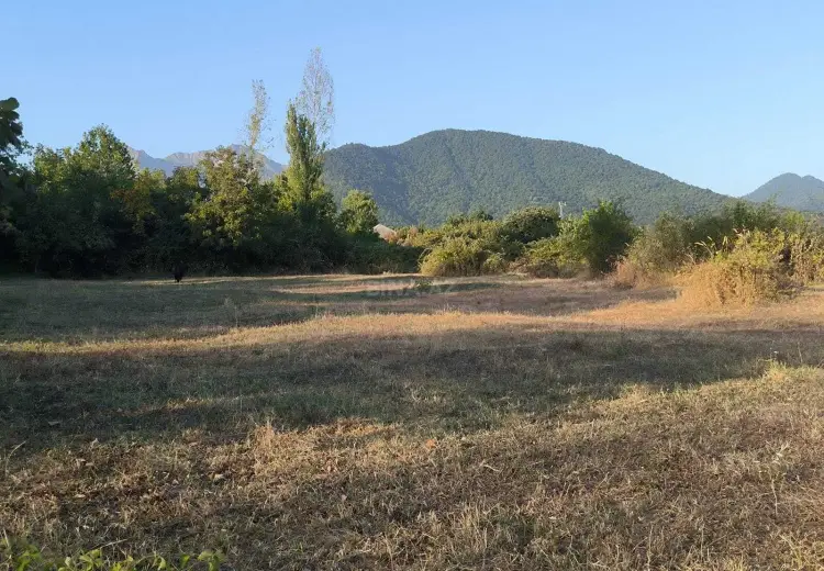 136 000 AZN - 21 sot Torpaq Satılır, Qəbələ