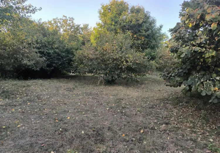136 000 AZN - 21 sot Torpaq Satılır, Qəbələ