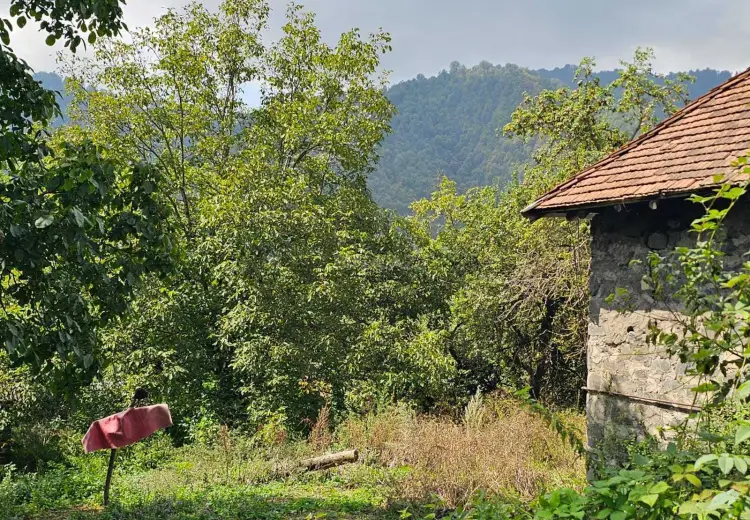 55 000 AZN - 11 sot Torpaq Satılır, Qəbələ