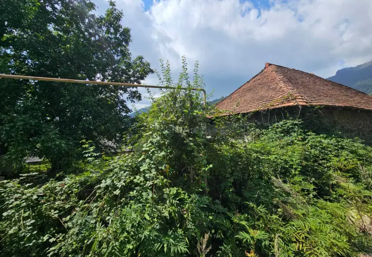 55 000 AZN - 11 sot Torpaq Satılır, Qəbələ