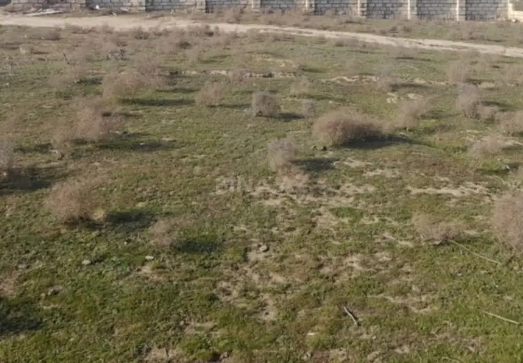 30 000 AZN - 5 sot Torpaq Satılır, Abşeron