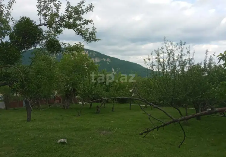 65 000 AZN - 0 m² Obyekt / Ofis , İsmayıllı
