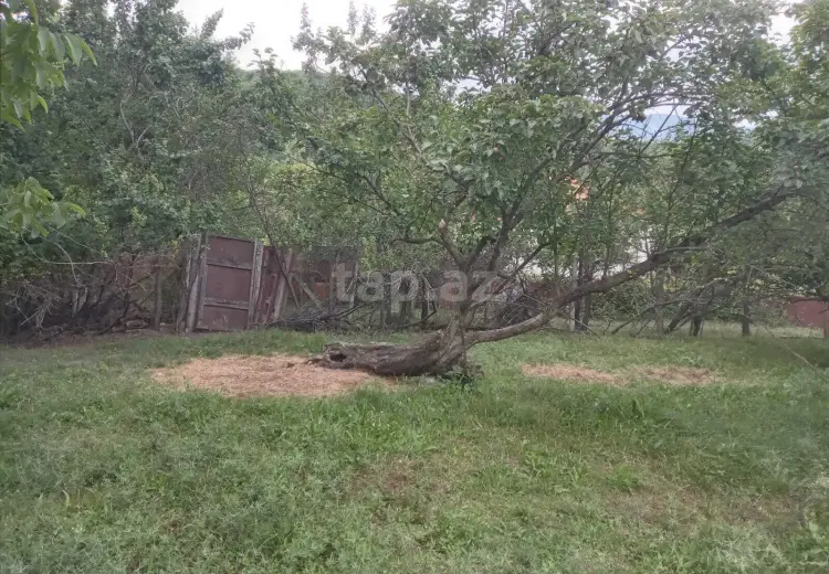 65 000 AZN - 0 m² Obyekt / Ofis , İsmayıllı
