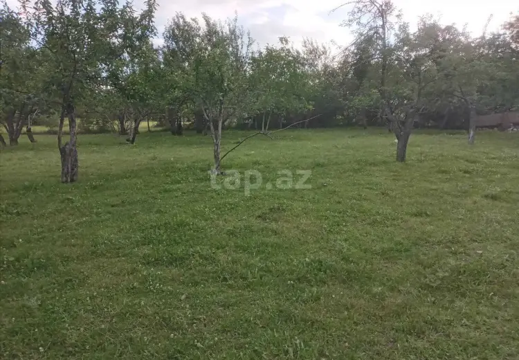 65 000 AZN - 0 m² Obyekt / Ofis , İsmayıllı