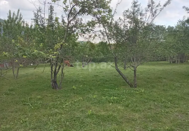 65 000 AZN - 0 m² Obyekt / Ofis , İsmayıllı