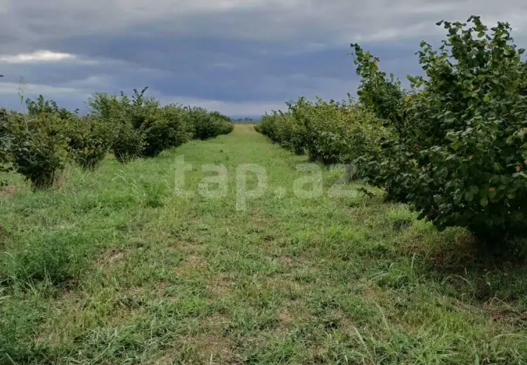 82 000 AZN - 0 m² Obyekt / Ofis , Xudat