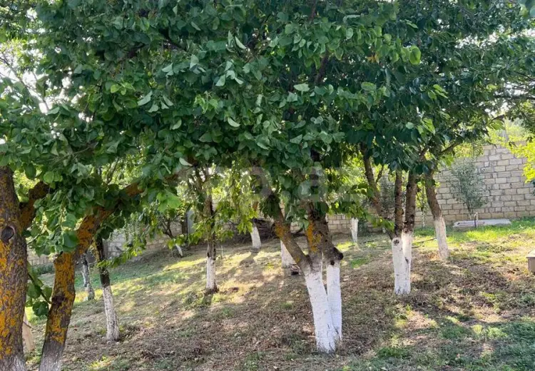 210 000 AZN - 6 otaqlı mənzil , Xızı