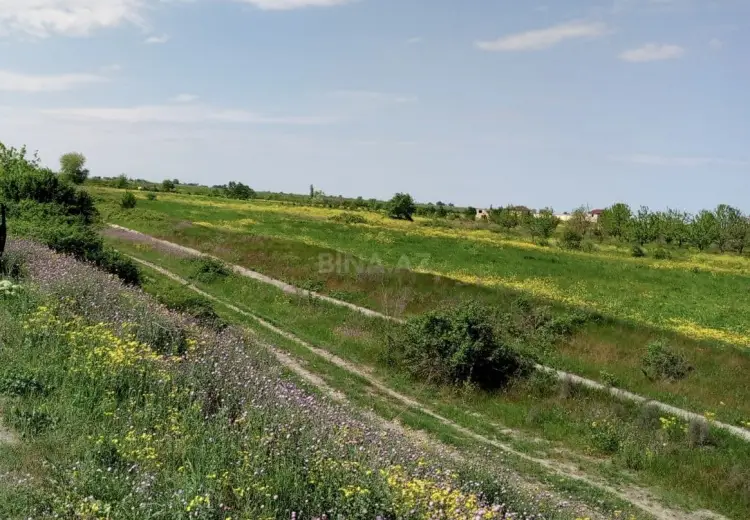 110 000 AZN - 300 sot Torpaq Satılır, Şabran