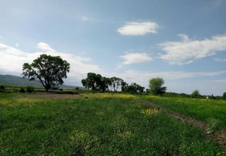 110 000 AZN - 300 sot Torpaq Satılır, Şabran